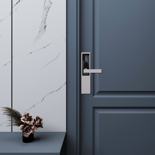 Hjemmesamtale (60 minutter)